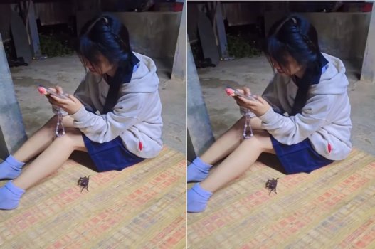 phim sex vú to không che Nữ gia sư tài giỏi